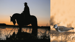 REVESTIMIENTO MIX GAUCHO HD MATE 31X59cm