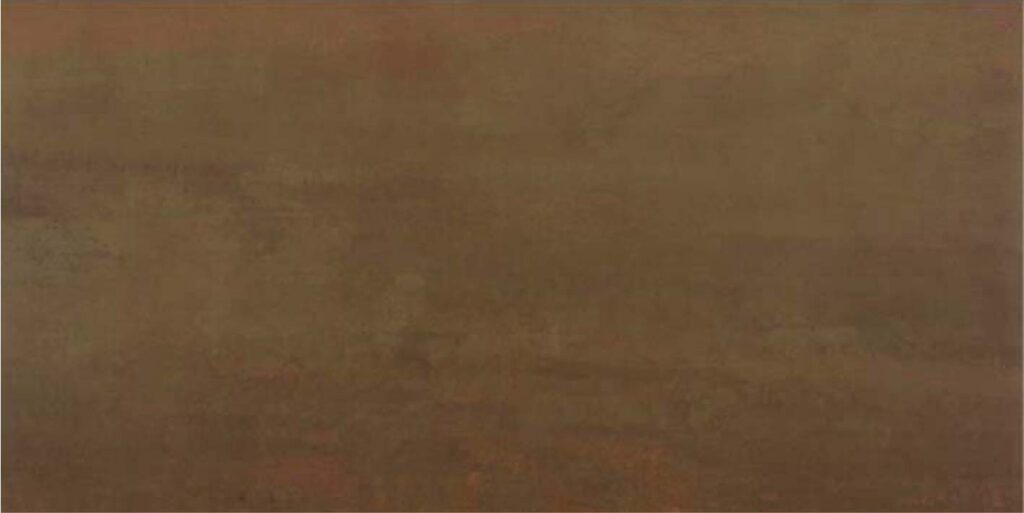 PORCELANATO RUANO OXIDO MATE 59.5X120cm