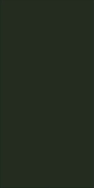 PIEDRA SINTERIZADA FOREST GREEN MATE 160X320cm 12 MM