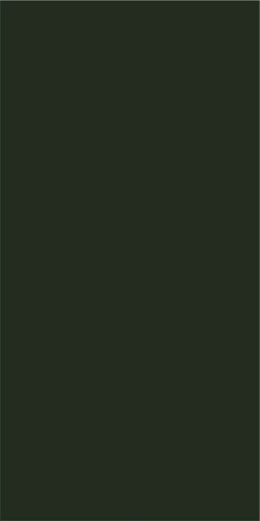 PIEDRA SINTERIZADA FOREST GREEN MATE 160X320cm 12 MM