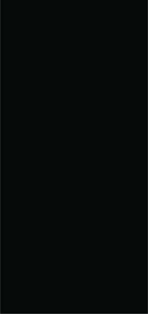 PIEDRA SINTERIZADA NEGRO PURO CRYSTALLINE GLOSS 120X270cm 9MM