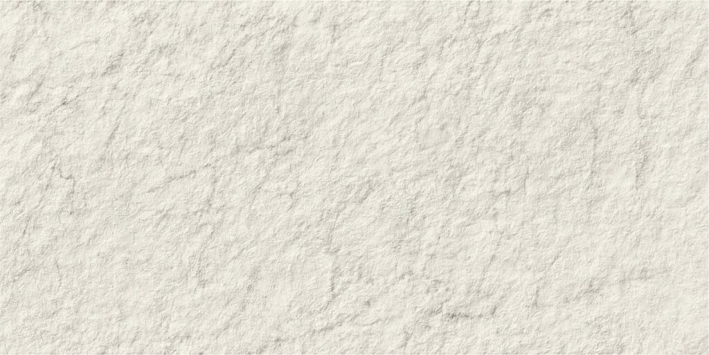 PORCELANATO CARRARA ICON CARVEN MATE 60X120cm