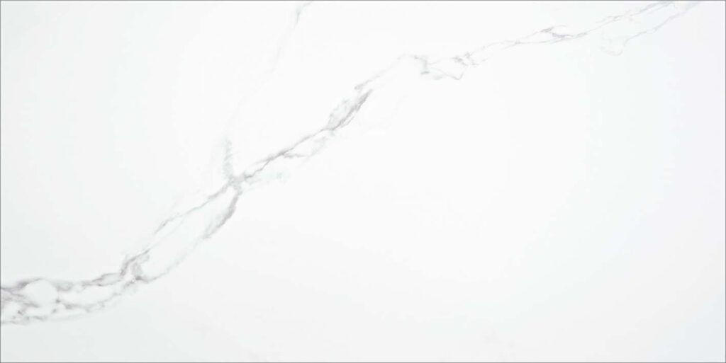 PORCELANATO PUNE BLANCO MATE 59.5X120cm
